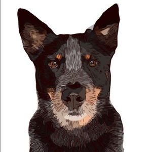 Meet your Posher, Boone